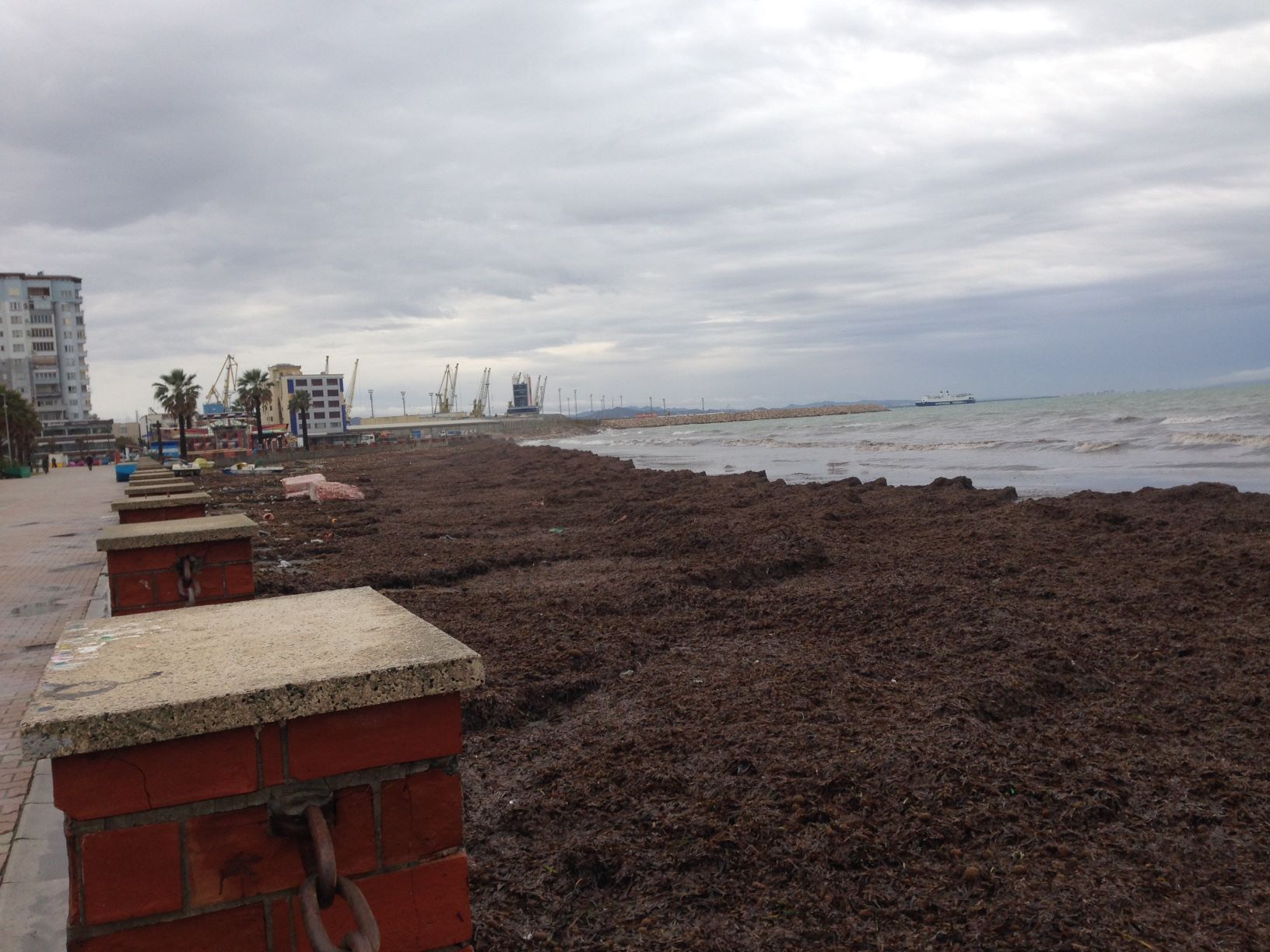 Parashikimi i motit, 21 dhjetor 2018