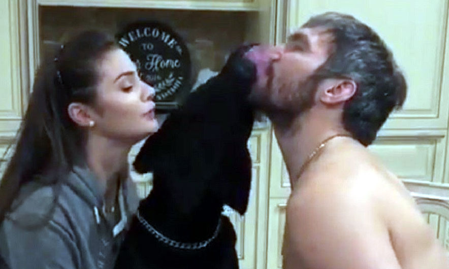 Qeni xheloz ndal puthjen e çiftit (VIDEO)