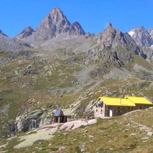 Oferta fantastike vijnë nga Italia!