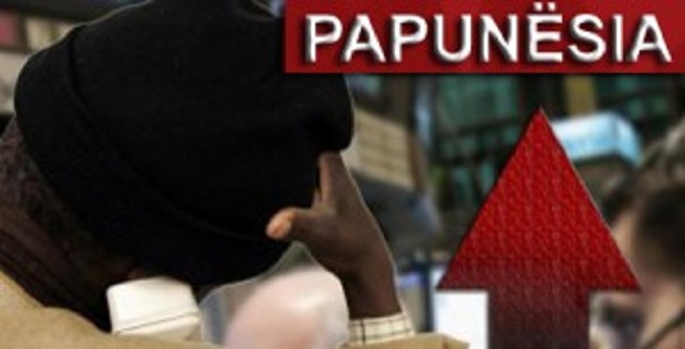 Anketa/ Sa gra e burra të moshës 15-49 vjeç ishin të papunë në 2018-n