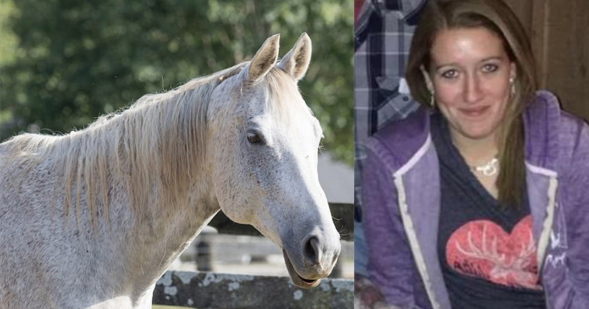 Arrestohet veterinerja, merrte kuajt për t’i shëruar dhe i çonte në thertore