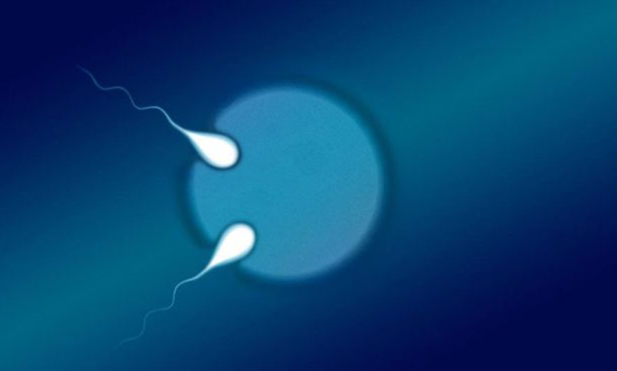 Binjakë gjysmëidentikë që trondisin themelet e shkencës