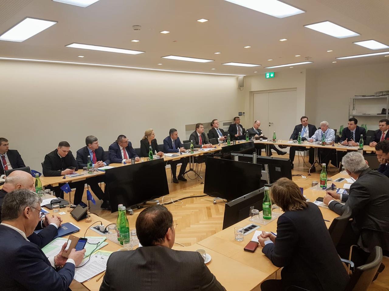 Basha në Vjenë takim në PPE: Situata është shqetësuese