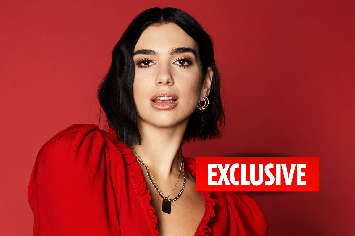 Një vit më parë jetonte në një banesë modeste me qira, sot Dua Lipa dominon muzikën botërore!