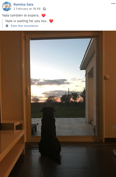 Drama e Salas, motra bën postim prekës në rrjetet sociale