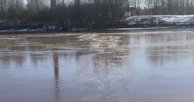 Shpëtuan “qenin” nga lumi i ngrirë, më pas zbulojnë se ishte…