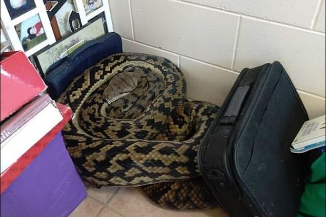 Zgjimi i llahtarshëm i një familjeje (VIDEO)