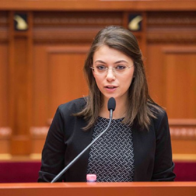 Ish-deputetja e LSI-së replikon me Fleckenstein: Na lër të bëjmë detyrën