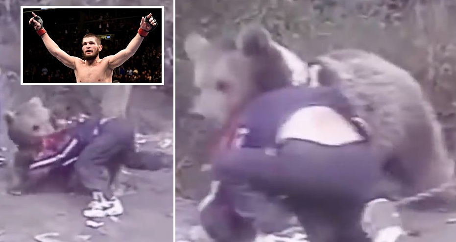 Khabibi i së ardhmes! Kampionët stërviten vetëm me arinj (VIDEO)