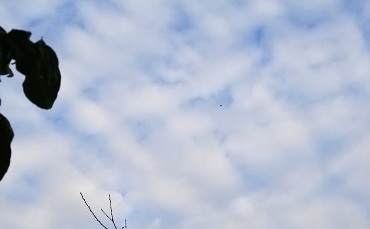 Parashikimi i motit, e mërkurë 20 shkurt