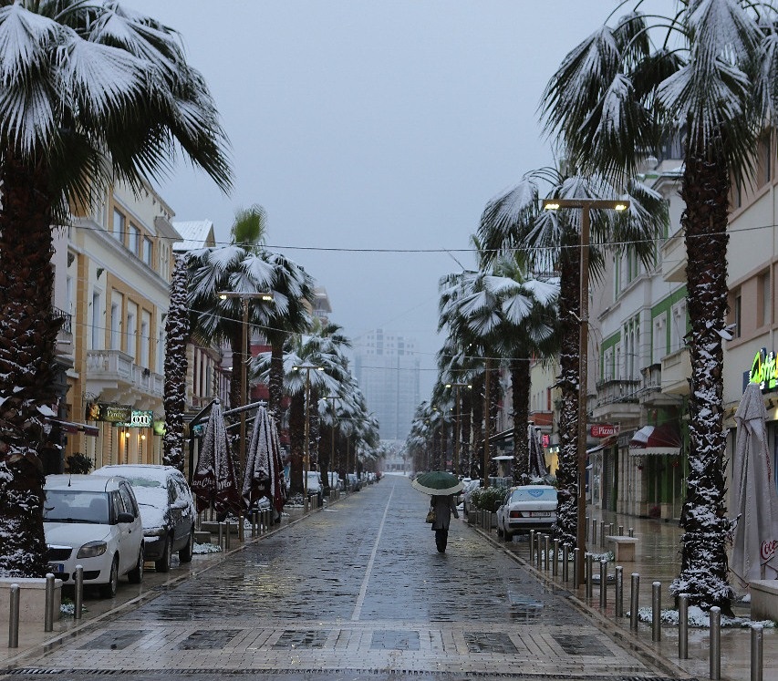 Parashikimi i motit, 24 shkurt 2019