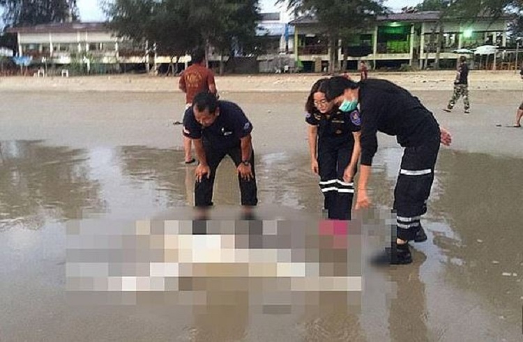 Horror, dy trupa pa kokë dhe koka e një gruaje gjenden në plazh