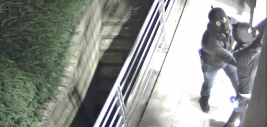 EMRAT/ Shkatërrohet banda e hajdutëve shqiptarë profesionistë të “Audi”-t