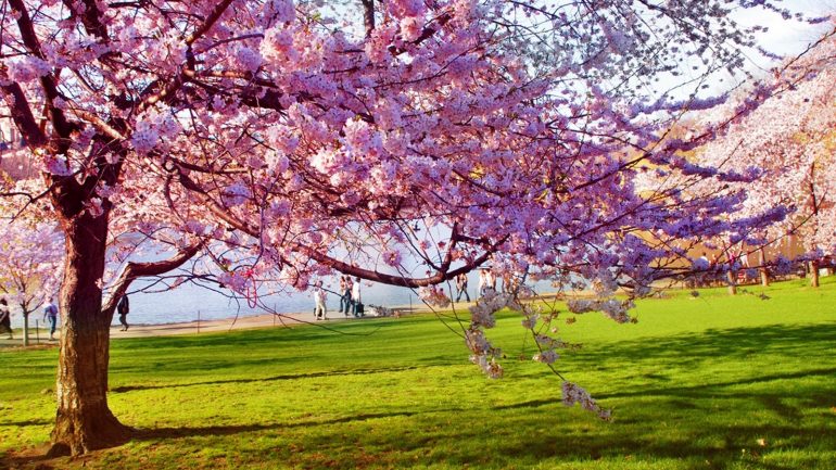 Nga çfarë duhet të hiqni dorë këtë pranverë sipas shenjës së horoskopit