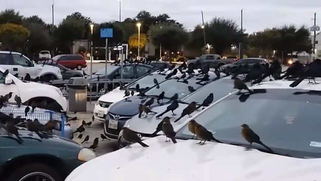 “Një skenë e ngjashme me ato të një filmi horror”