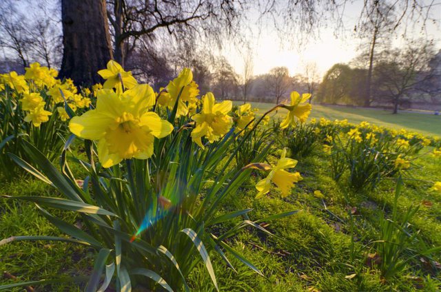 Parashikimi i motit, e martë 19 mars