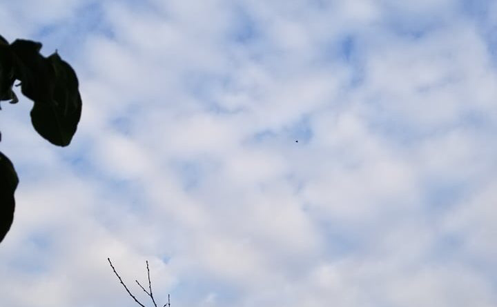 Parashikimi i motit, e enjte 21 mars