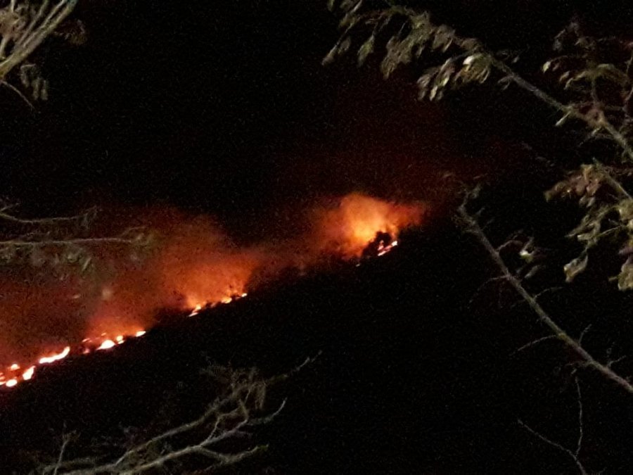 Zjarret në vend, proçedohen penalisht 3 persona