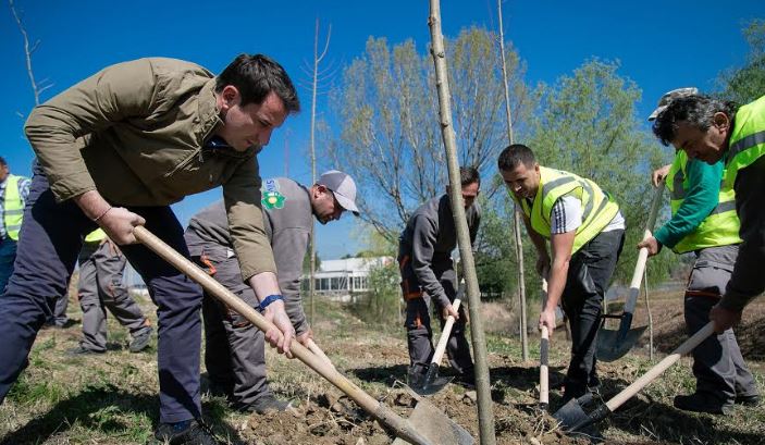 Veliaj: Jemi afër rekordit tonë të mbjelljes së pemëve