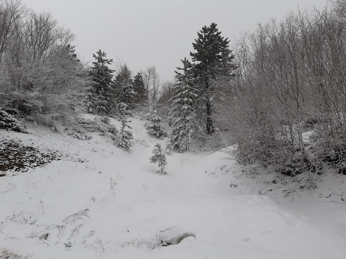 Rikthehen reshjet e dëborës në Korçë