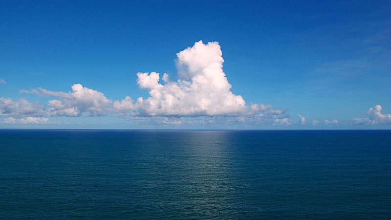 I nxehti tek oqeanet, studimi: Si zjarret tek pyjet