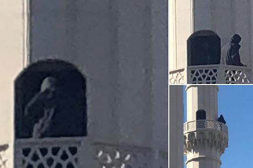 Shfaqja e “hijeve të errëta” mbi minaren e xhamisë në Tiranë, ish-deputeti: Sqarim publik!