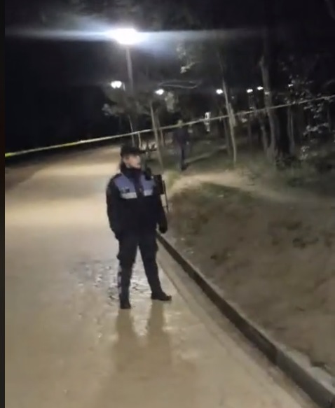 DETAJE/ U vra para syve të djalit të mitur, policia në ndjekje të autorit