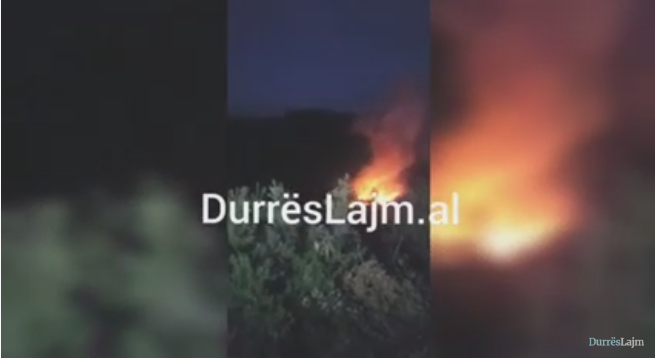Durrës, zjarrfikësit në luftë me flakët në një zonë pyjore (VIDEO)