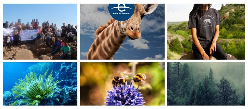 Dita Ndërkombëtare e Tokës/ Ambasada SHBA-së: Duhet ndihma juaj