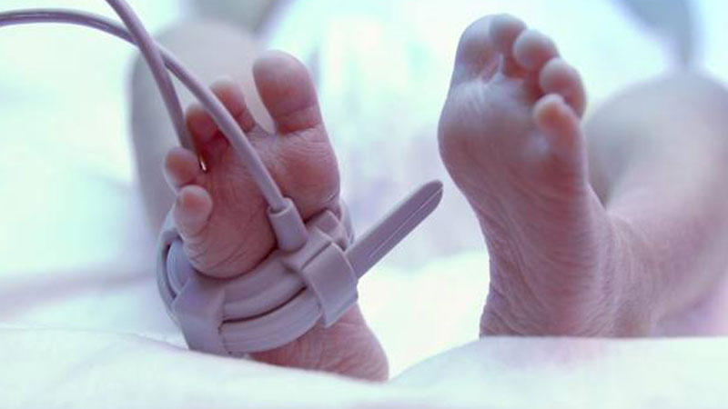 Rrëfimi shokues: Nëna ime fshehu 4 fëmijë të vdekur në dollap