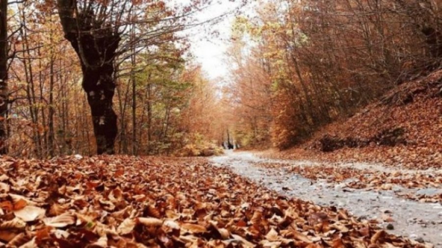 Stina kur keni lindur tregon shumë për personalitetin tuaj!