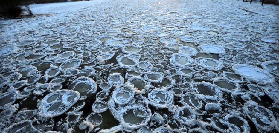 Ngrohja globale po vë në rrezik shëndetin tonë