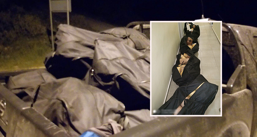 Tre shqiptarë kapen duke transportuar çanta me drogë në Greqi