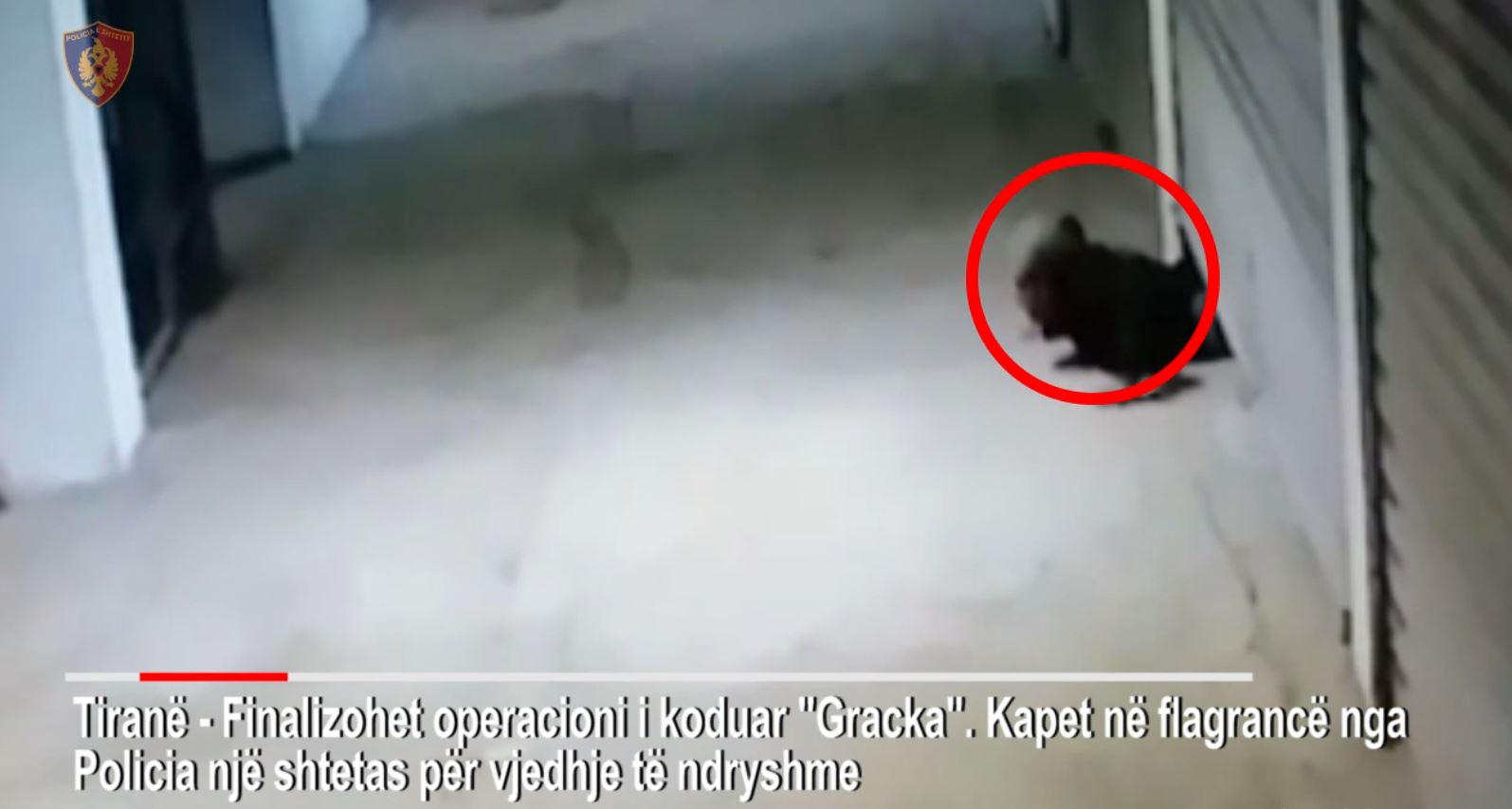 Policia zë në grackë hajdutin kavajas të garazheve (VIDEO)