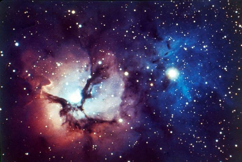 NASA dërgon minj në hapësirë