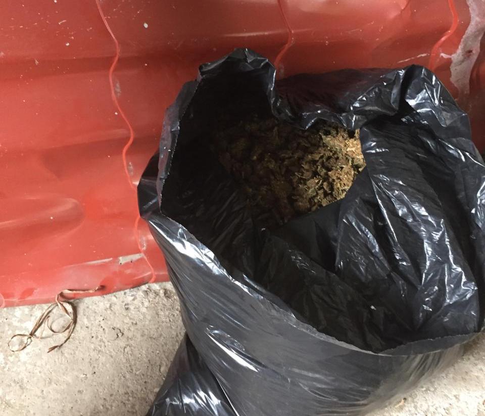 Kultivonin dhe tregtonin drogë, “Prita” arreston dy vlonjatë