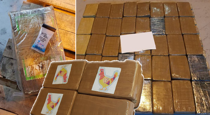 Ish-ministri për kokainën që do vinte në Durrës: Trafik si n’top t’karadakut!