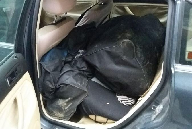 Shqiptari 30-vjeçar nuk i shpëton policisë italiane, kapet me 3 lloj drogërash