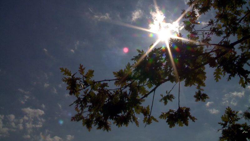 Parashikimi i motit, e enjte 4 prill