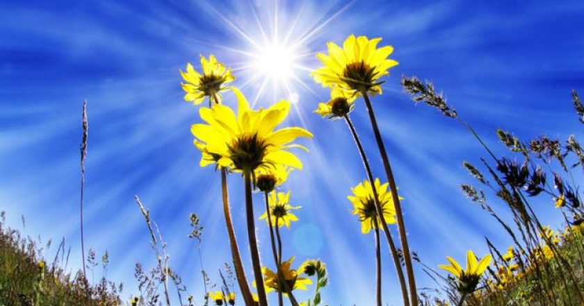 Parashikimi i motit, e hënë 1 prill