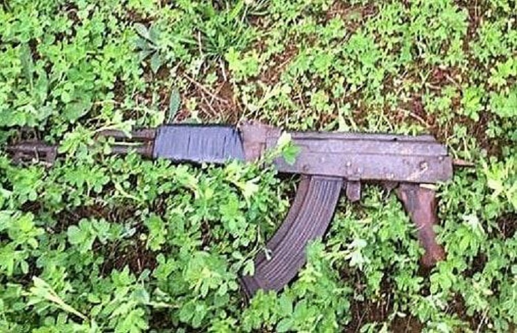 “Dy të rinj me armë”, denoncimi i banorëve çon në arrestimin e 20-vjeçarit