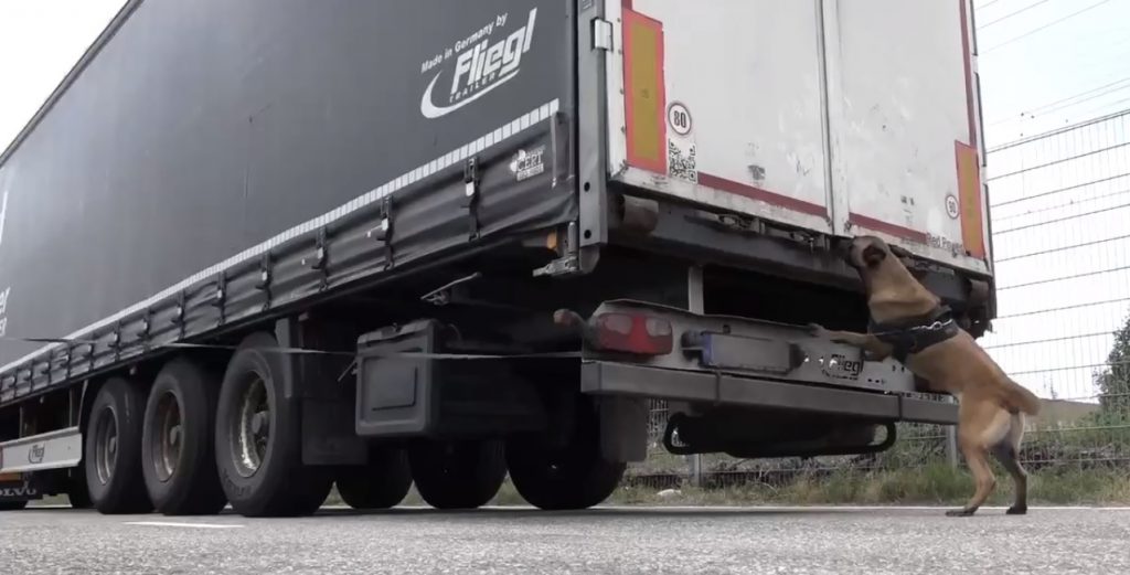 Ministri holandez apel shqiptarëve: Mos u nisni ilegalisht, sepse… (VIDEO)