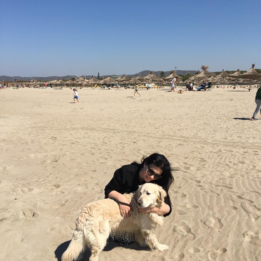 Topalli: Midis një qeni dhe maskës së politikanëve, zgjedhja është e thjeshtë