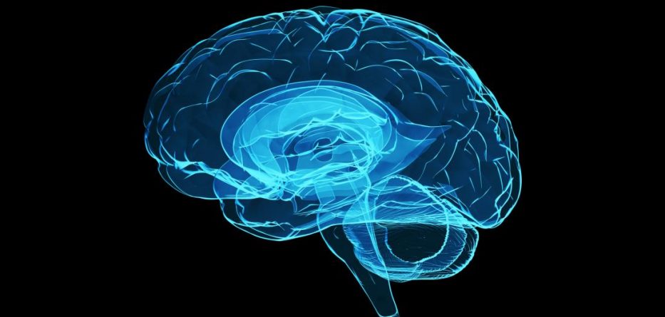 Rikthehen në jetë pas vdekjes qelizat e trurit