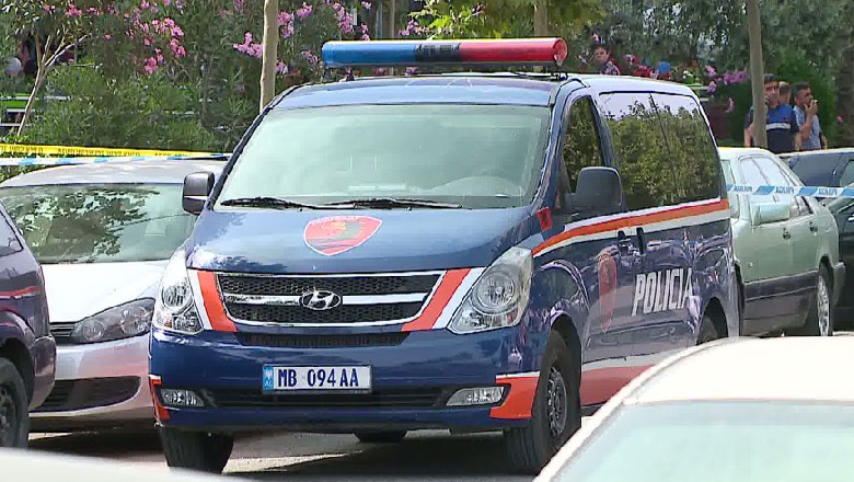 66-vjeçari tenton të vrasë me thikë 57-vjeçarin