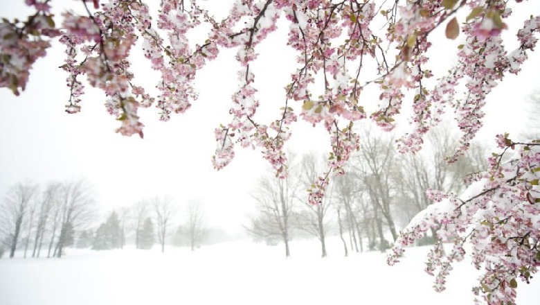 Dimër në maj, zbardhet Dibra nga dëbora