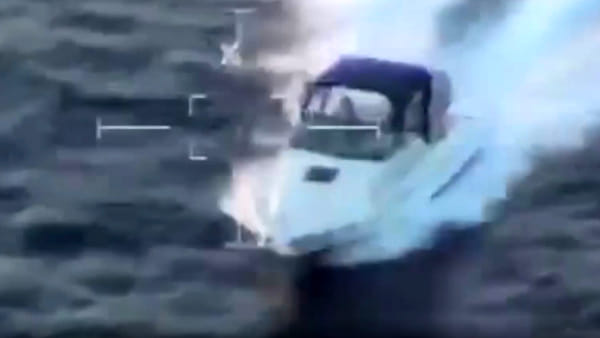 Gjysmë ton marijuanë nga Shqipëria në Itali, arrestohen 5 persona