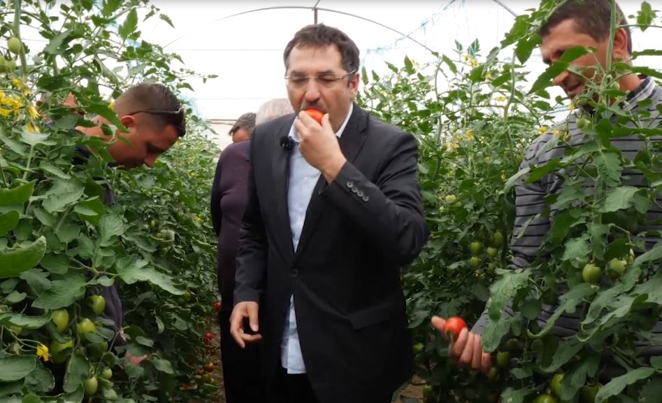 Prodhimet bujqësore shqiptare janë të sigurta!