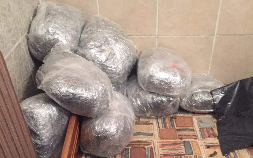 Sekuestrohen 155 kg hashash, pranga 3 shqiptarëve