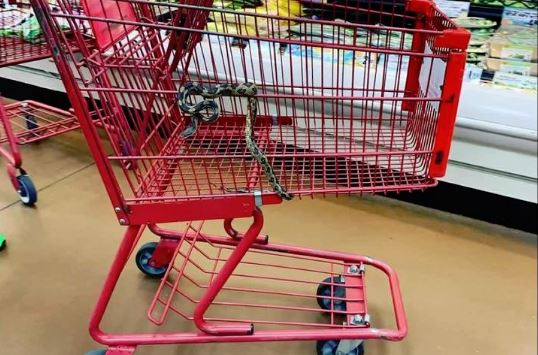 Po bënte pazar, gruaja gjen gjarpër në karrocë